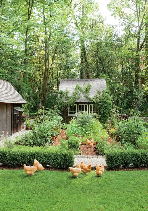 Garden with Chicken Coop