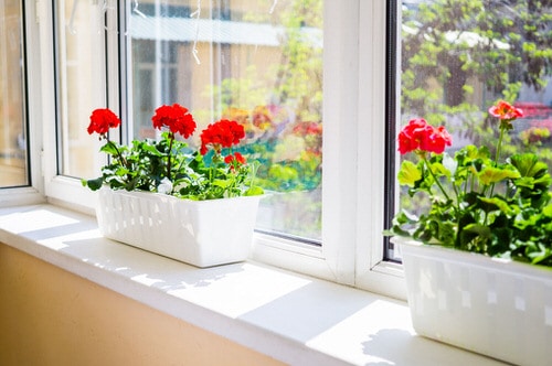  Indoor Windowsill Flower Garden Ideas