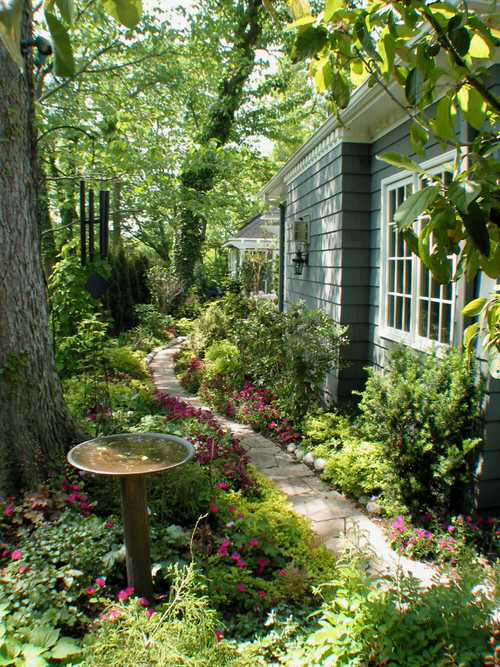 Shady Patio Garden