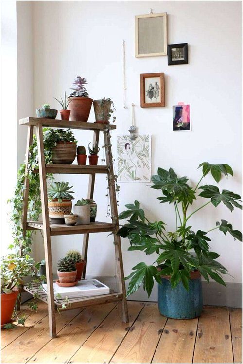 Paintings, Blue Pot, and a Ladder