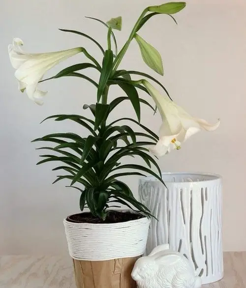 DIY Houseplant Pots Ideas and Makeover 7
