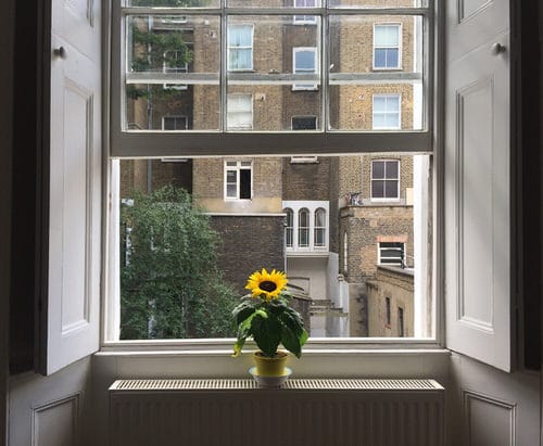 Wonderful Ideas for an Indoor Windowsill Flower Garden