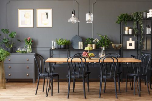 Apartment Decoration Ideas with Plants 7