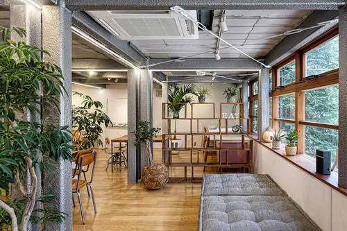 Best House Plants Home Pictures for Inspiration 7
