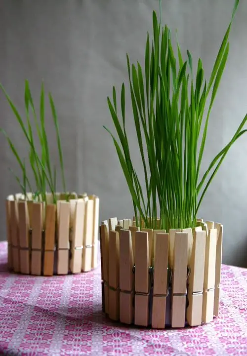 DIY Houseplant Pots Ideas and Makeover 8