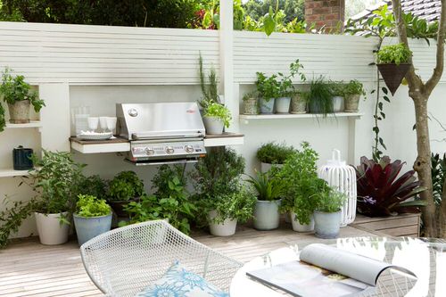 Small Backyard Garden