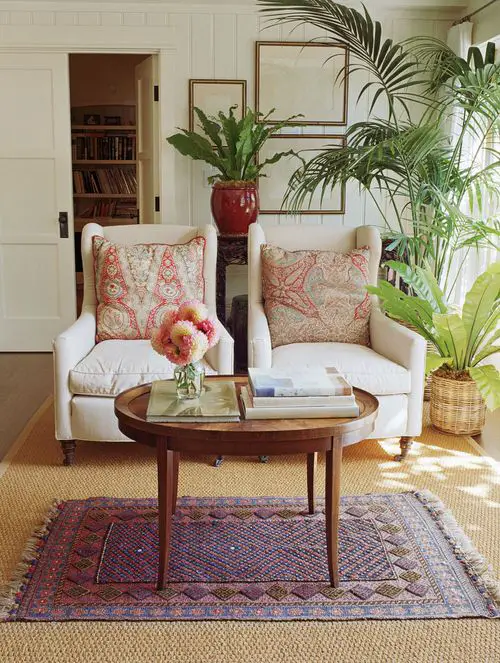 Best House Plants Home Pictures for Inspiration 9