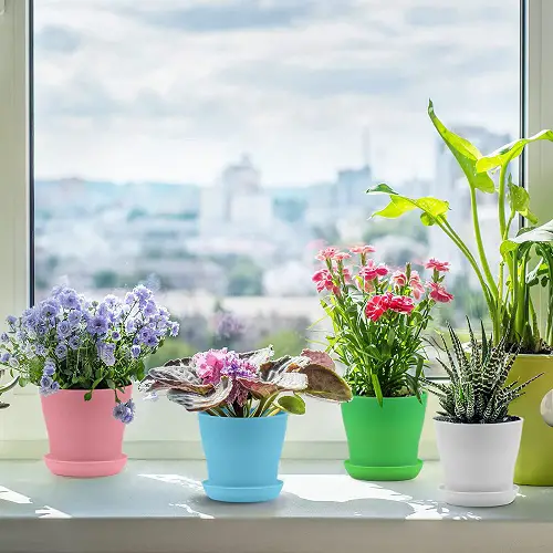 Wonderful Ideas for Indoor Windowsill Flower