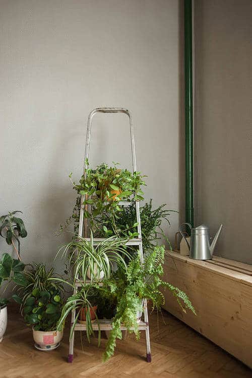 Repurposed Ladder Planter