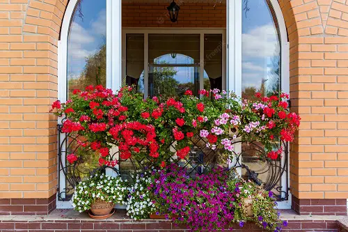 Vibrant Color Show on the Window Railing