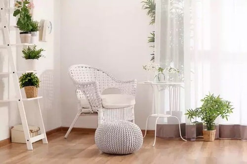 Best House Plants Home Pictures for Inspiration 10