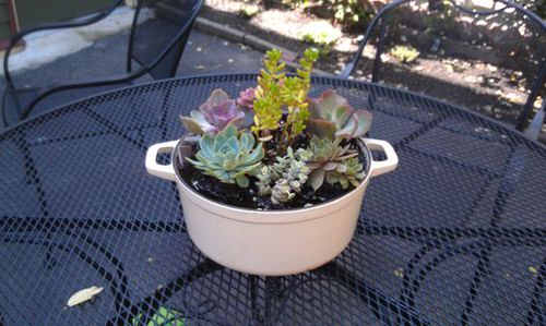 Planter Ideas from Kitchen Items 10