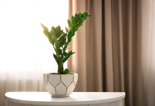 DIY Tabletop Centerpiece Ideas for Gardeners 11