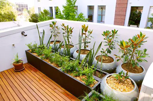 Small City Roof Garden Ideas 11