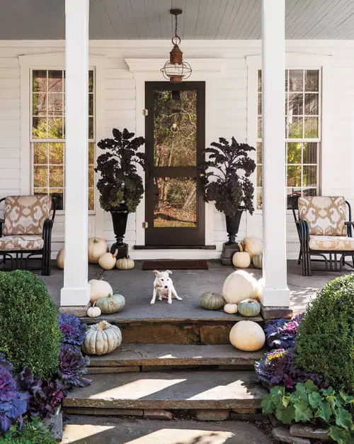 Porch Decor Idea with Plants 4