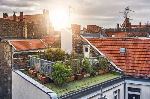 An Urban Rooftop in garden
