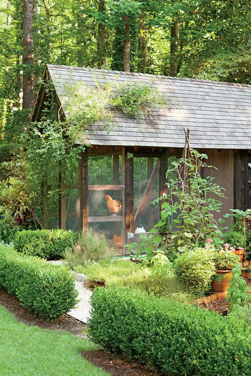 Garden with a Chicken House