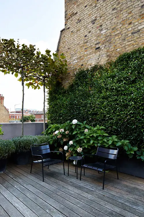 Living Wall and White Blooms