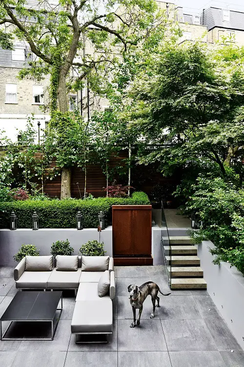 Raised Garden with Thick Trees