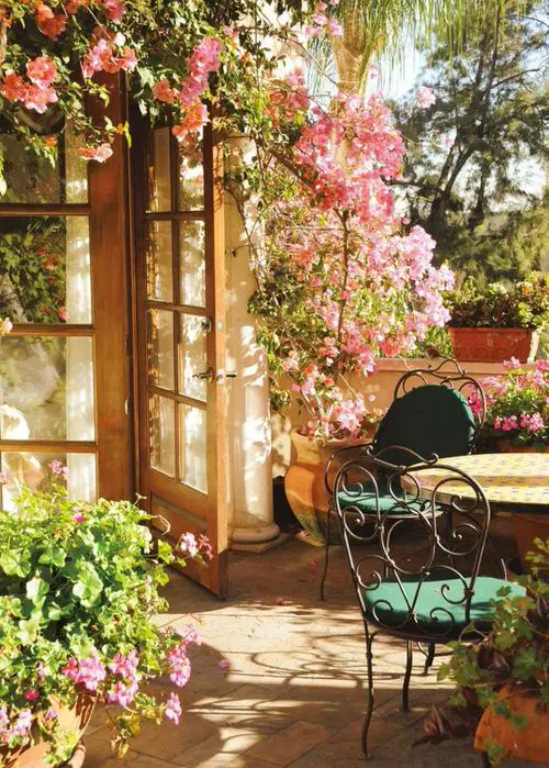 A Small Patio Garden