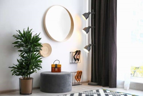 Best Insta Worthy Photos of House Plants 23