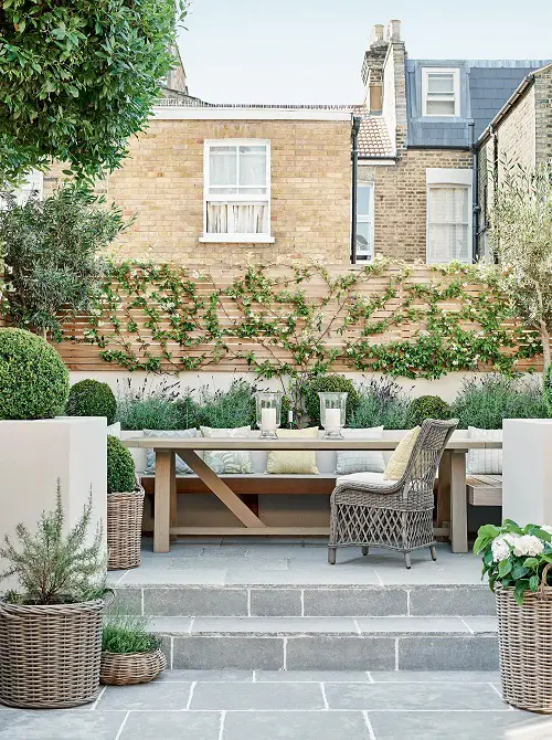 Boxwoods and Woven Planter in small city Garden