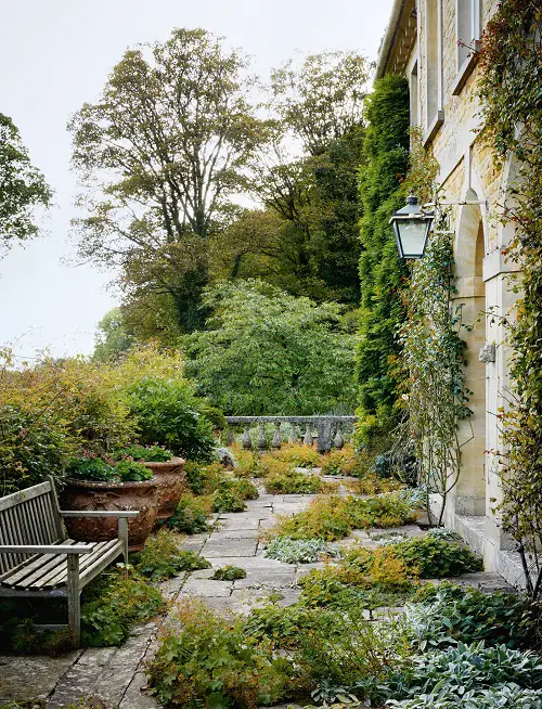 Massive Planters and Vines on the Balcony