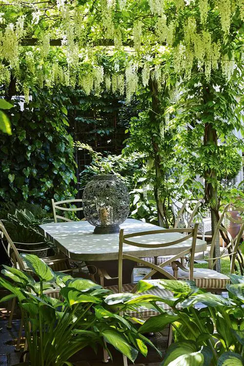 Small Garden Pergola
