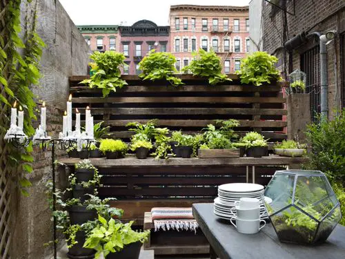 A Tiny Urban Garden