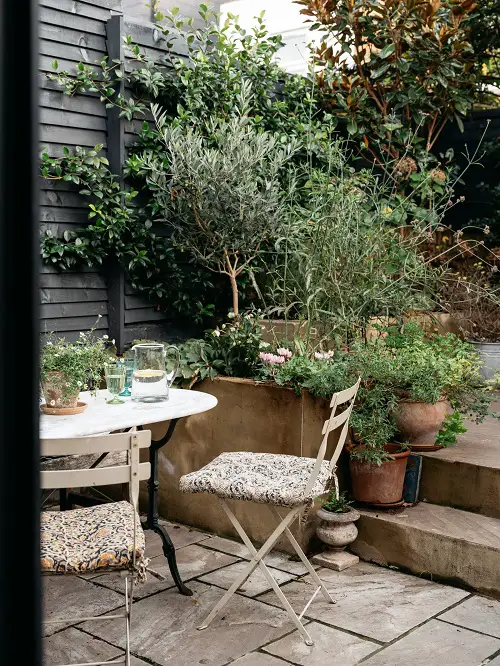 Clay Pots and Dark Green Foliage