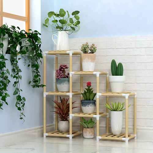 Best House Plants Home Pictures for Inspiration 15