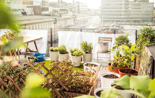 A Colorful Terrace Garden