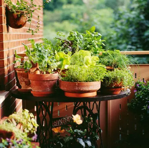 Sewing Machine Table for Plants