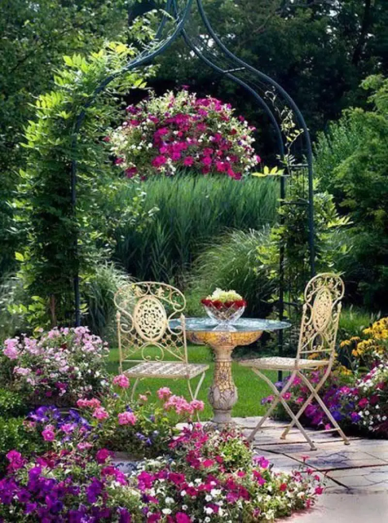 A Metal Pergola with Vines Sprawling Upwards