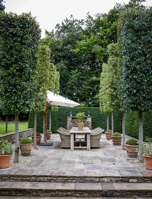 Trees and Planters