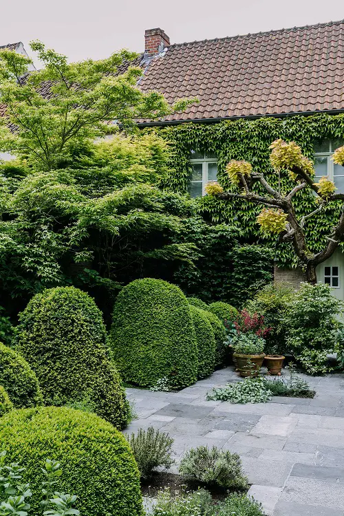 Dense Garden with Stone in city