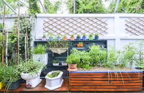 Decorate a Terrace Apartment