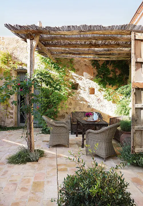 Traditional Garden with Vines