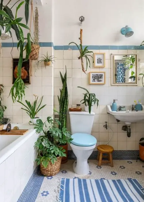 Vanity Plant Ideas