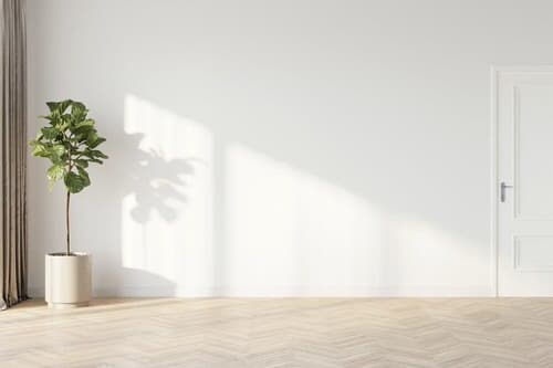 Best Insta Worthy Photos of House Plants 2