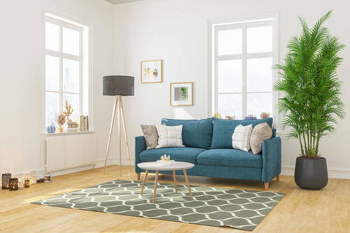 Apartment Decoration Ideas with Plants 2