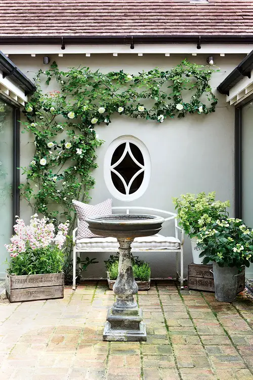Bird Bath, Bench, and Vine Garden