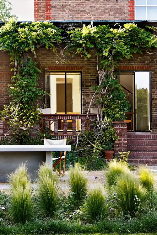 Garden with Climbers