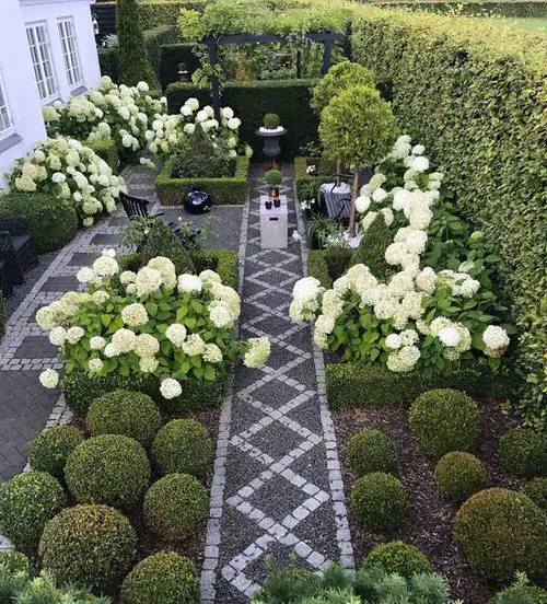 Boxwoods and White Floral Garden