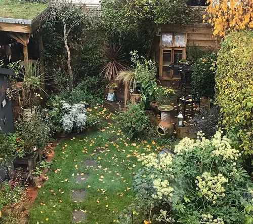 Small City Garden Ideas 