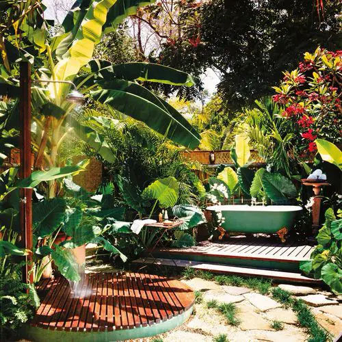 Bathtub in a Tropical Backdrop