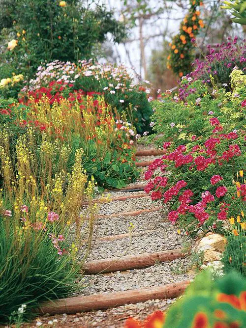 Log and Woodchip Walkway Amidst Floral Groundcovers