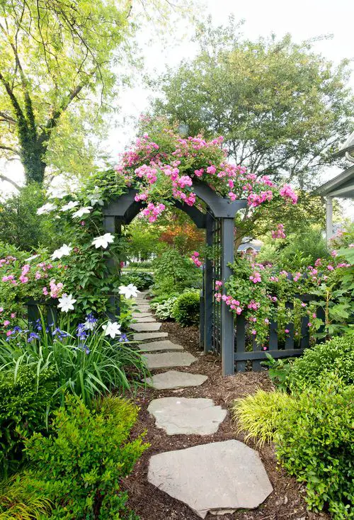 Flowering Creeper Crowning the Wooden Arbor