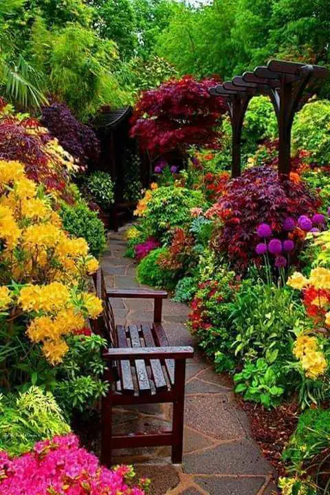 Wooden Bench to Relax Surrounded with Colorful Foliage Plants
