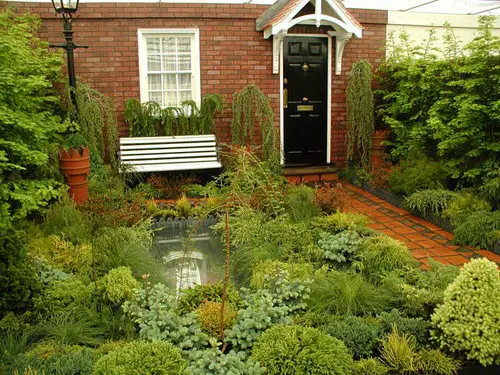 Small Urban Front Yard